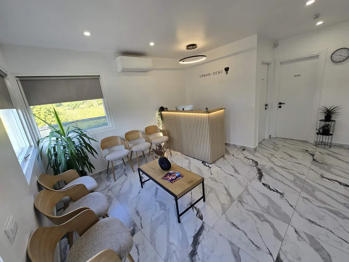 Recepția și sala de așteptare Urban Dent Ruginești